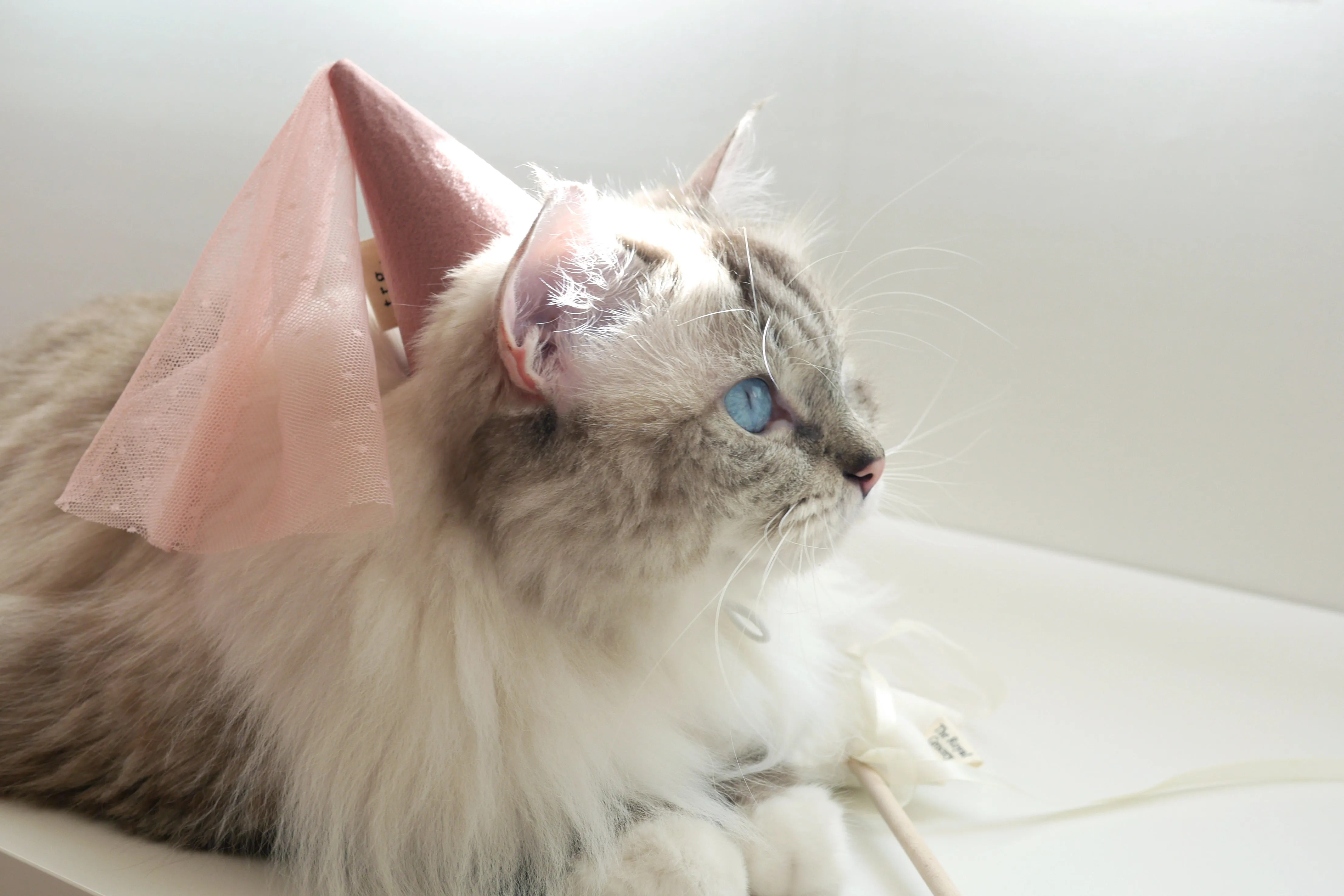 Bella Hat - Pink
