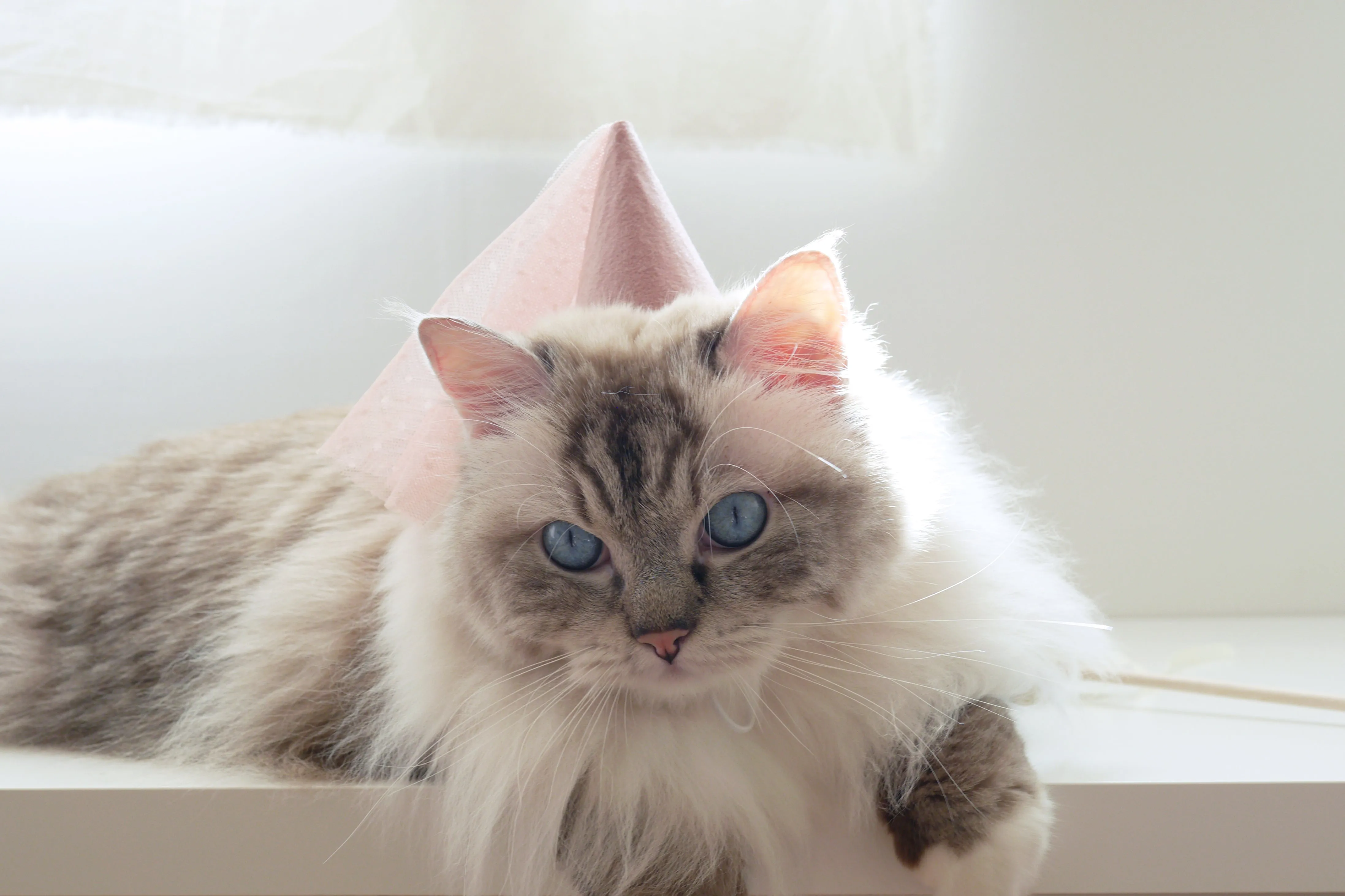 Bella Hat - Pink
