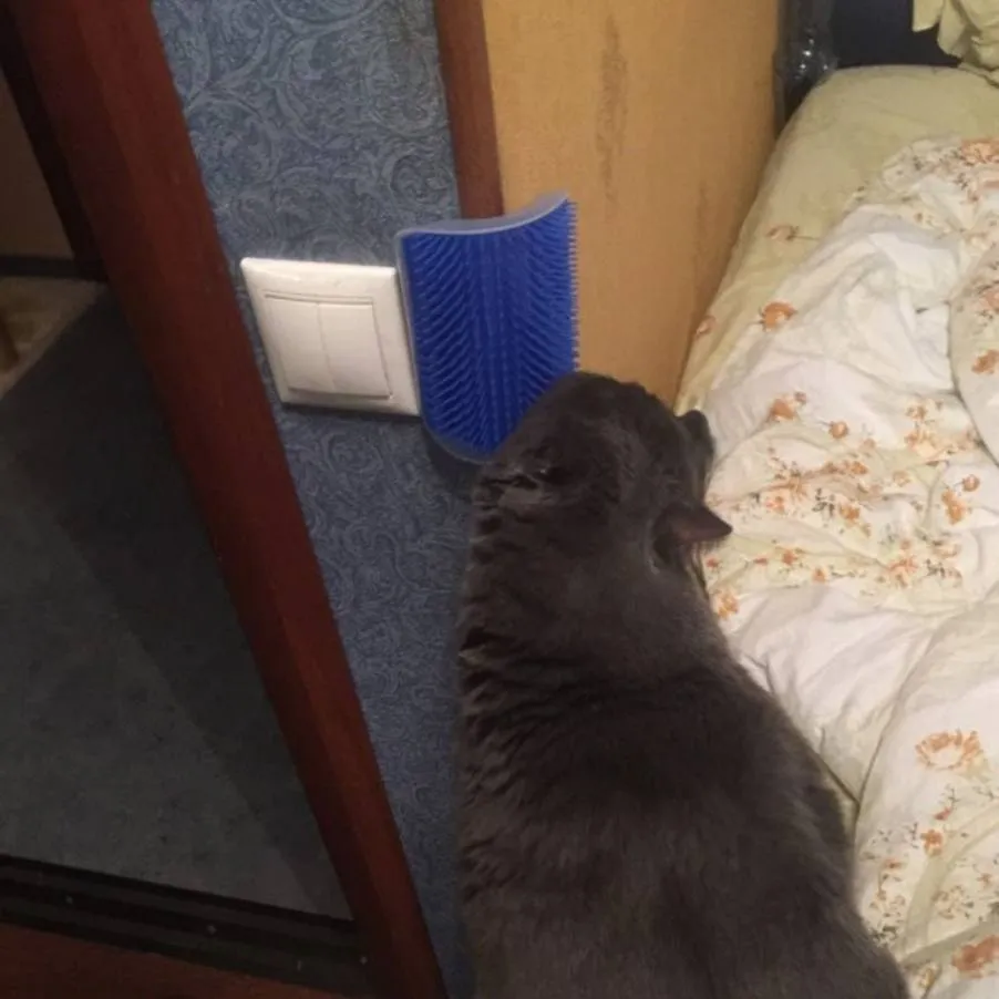 Cat Corner Brush: Easy Grooming and Massage for Your Feline Friend!