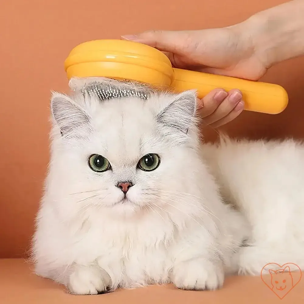 Cat Hair Removal Brush – Tangle-Free Grooming